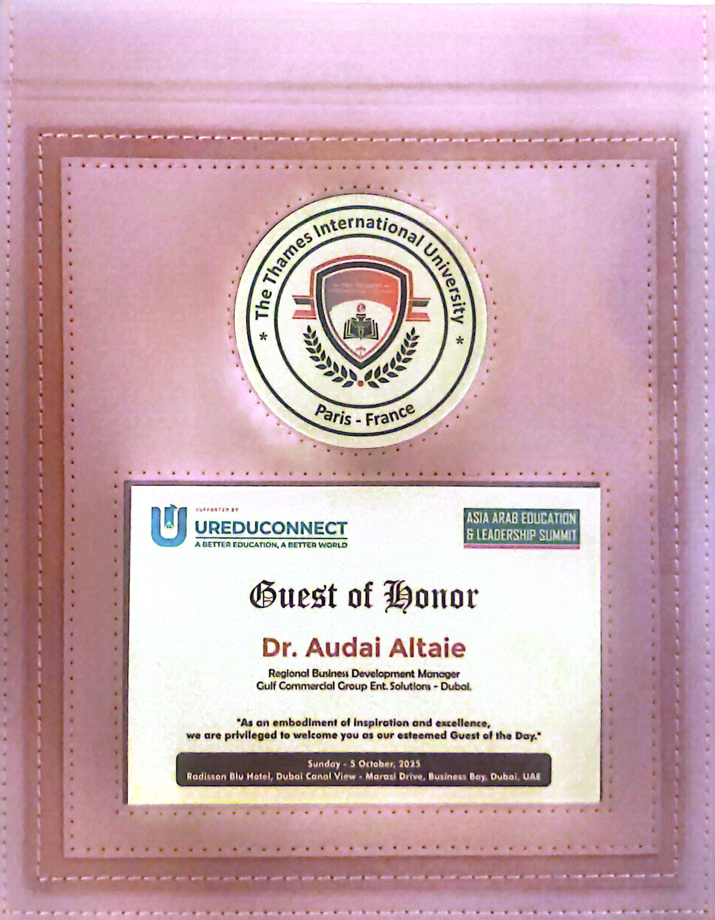Thames International University France